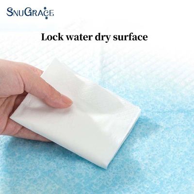SNUGRACE ODM OEM 샘플 무료 일회용 개  Pee 패드 반려동물 훈련 패드 60x90 고양이