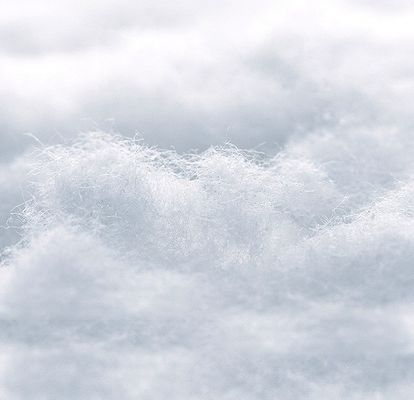 산모 의 유방 패드