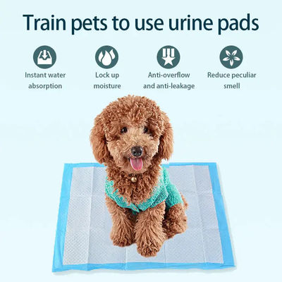 파란색 일회용 턱스 강아지 강아지 팟 훈련용 Pee Pads 20g-120g 프로