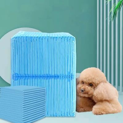 파란색/백색/녹색/검은/灰색 애완동물 훈련 제품 훈련용 일회용 개  Pee Pads
