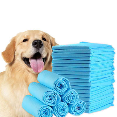 파란색/백색/녹색/검은/灰색 애완동물 훈련 제품 훈련용 일회용 개  Pee Pads