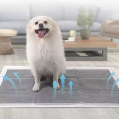 강아지 훈련 애완 동물 화장실 소변 패드 샌디아 또는 수미토모 SAP 및 사용자 정의 색상