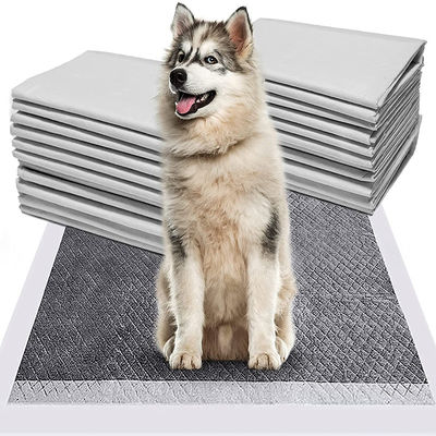 20g-120g 일본 Bambu Charcoal Absorbent Pet Training Pee Pad Pet Potty Underpad 가장 많이 팔리는 훈련 패드