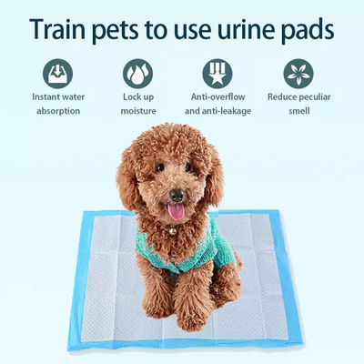 고 흡수성 60x90cm 일회용 강아지 패드 개 고양이 동물 더 이상 누수가 없습니다