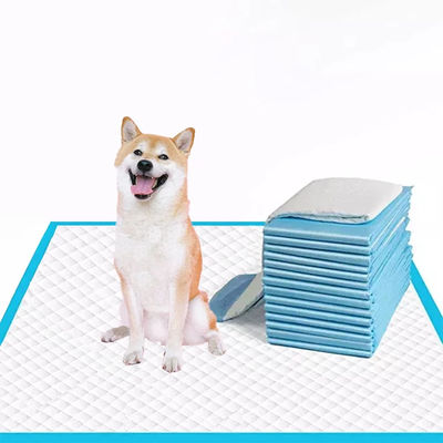 블루 5층 소형/중형/대형 개용 반려동물 훈련 패드 슈퍼 흡수