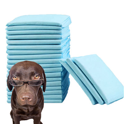 반려동물 청소 고 흡수성 CE ISO 인증과 함께 일회용 강아지 훈련 Pee Pad