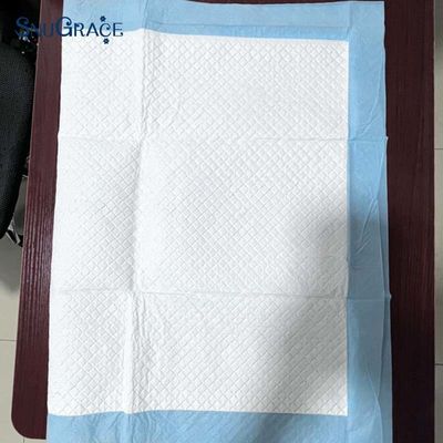 OEM/ODM 강아지 훈련용 맞춤 애완용  Pee Pad 600X350mm 600X450mm 600X600mm 900X600mm