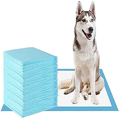 지속가능 한 일회용 애완 동물 강아지 훈련 개와 고양이의  Pee Pad