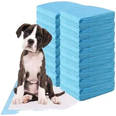 일회용 불결성 L XL Pee Pad 훈련 패드 애완 동물 강아지 훈련 Pee Pad