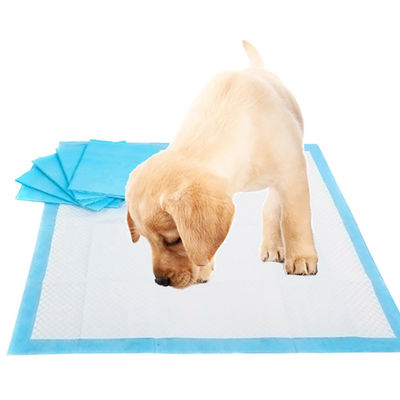 일회용 불결성 L XL Pee Pad 훈련 패드 애완 동물 강아지 훈련 Pee Pad