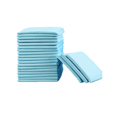 병원 가정 침대에 누워있는 인내심 우리 불결성 문제 없습니다 성인 돌봄 Underpad