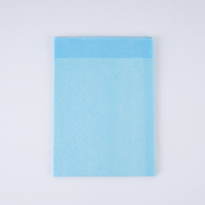 병원 가정 침대에 누워있는 인내심 우리 불결성 문제 없습니다 성인 돌봄 Underpad