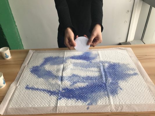 의료 병원 일회용 간호 부대장 침대에 누워있는 환자에 대한 존엄성 시트