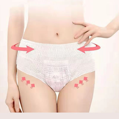 백색 성인 불결성 팬티 ISO CE 인증과 탄력 허리띠